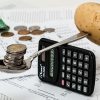 COINS & Potato - Basic Income